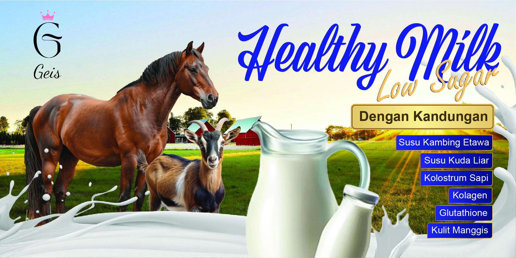 Geis Web Banner